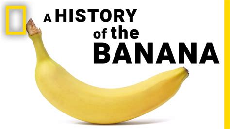 surprising history  bananas    minutes doovi