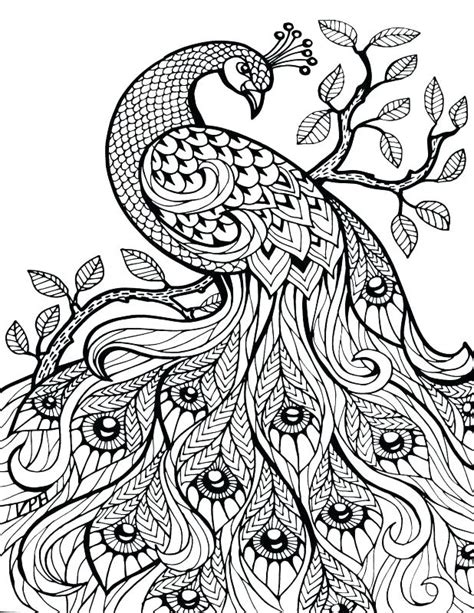 color  number coloring pages  adults  getdrawings