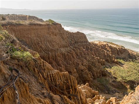 torrey pines state park la jolla