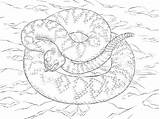 Rattlesnake Diamondback Supercoloring sketch template