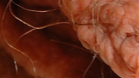 Female Textures Kiss Me Hd 1080p Vagina Close Up Hairy Sex Pussy