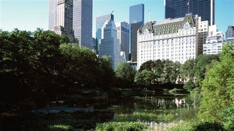 plaza hotel top luxury hotel   york central park south