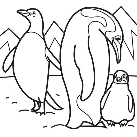 printable penguin pictures coloring home