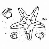 Starfish Coloring Drawing Line Shell Fish Star Pages Two Seashore Getdrawings Colouring Picolour sketch template