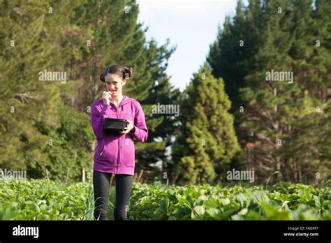 Young Woman Looks Sheepish As She Pops Strawberry Into Mouth While
