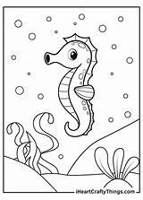 Seahorse Iheartcraftythings sketch template