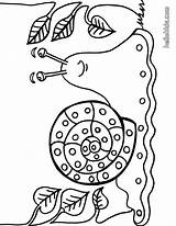 Snail Caracol Schnecke Caracoles Kostenlos Slak Ausdrucken Ausmalbilder Malvorlagen Pintar Ausmalbild Slug Coloriage Escargot Hellokids Insect Sheets Caracola Acw Animais sketch template