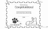 Coloring Pages Certificate Pete Cat Printable Kids sketch template