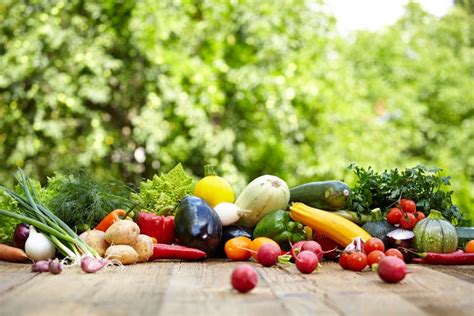 national fruit  vegetable month fill  plate blog