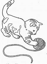 Coloring Kitten Color Pages Library Clipart Print sketch template