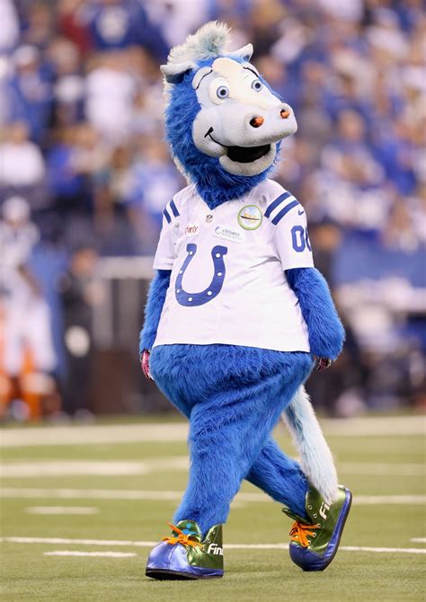 colts mascot blue wins nfl mascot   year