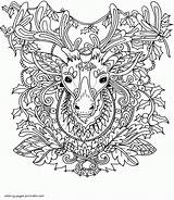 Coloring Christmas Adult Pages Reindeer Adults Printable Print sketch template