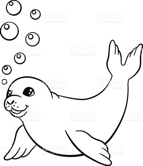 cute seal coloring pages  getcoloringscom  printable colorings