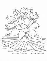 Lotus Coloring Flower Printable Pages Choose Board Drawing sketch template