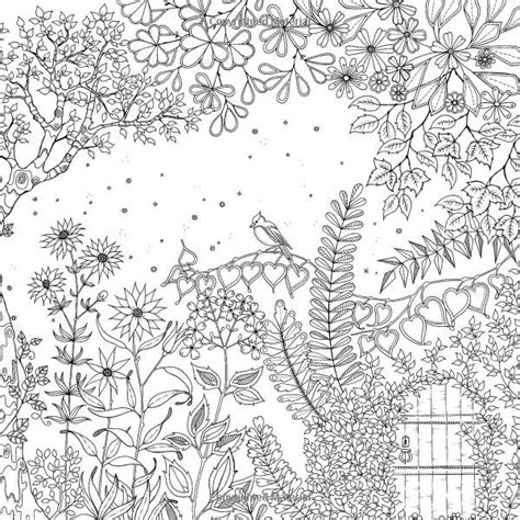 forest coloring book adultcoloringbookz