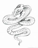 Boa Coloring Constrictor Rattlesnake Drawing Diamondback Western Coiled Getdrawings Template sketch template