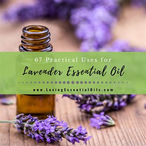 practical   lavender essential oil