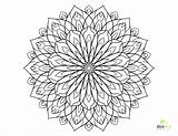 Coloring Flowers Pages Hard Flower Adults Adult Dahlia Color Printable Drawing Number Thistle Getdrawings Kids Sheets Getcolorings Difficult Designlooter Popular sketch template