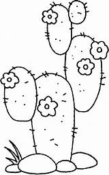Coloring Cactus Desert Pages Plants Drawings Printable Kids Outline Cute Drawing Embroidery Template Visit Print Patrones Pattern Ca Artículo sketch template