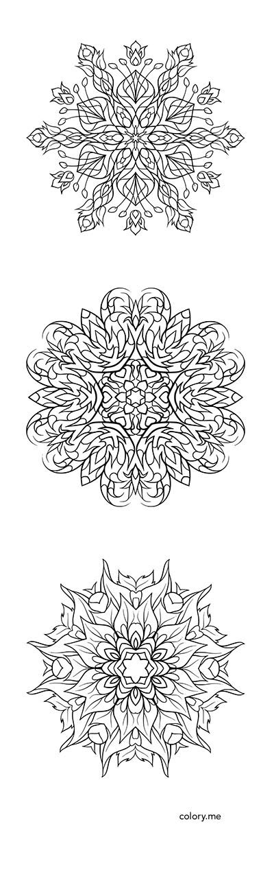 adult coloring page  colory app  coloring pages