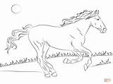 Coloring Pages Horse Hard Horses Popular sketch template