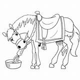 Paard Sinterklaas Kleurplaat Kleurplaten Sint Animaatjes Cavallo Carota Nikolaus Sankt 2347 Cavalli Cheval Makkelijk Piet Disegnidacolorareonline Zeemeermin Paarden Omnilabo Tekeningen sketch template
