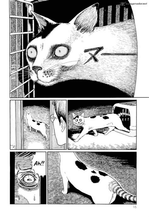 The King Of Horror Manga Vs Two Cats Junji Ito’s Cat