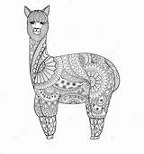 Mandala Ausmalen Ausmalbilder Mandalas Llamas Alpaca Zentangle Doodle Lamas Zeichnen Erwachsene Viel Spaß sketch template