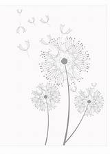 Coloring Dandelions Dandelion Pages Adult Color Drawing Flower Printable Book Sheets Watercolor String Drawings sketch template