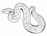 Boa Constrictor Coloring Getcolorings Pages Color sketch template