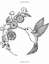 Hummingbirds sketch template