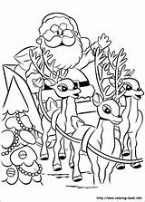 Rudolph Reindeer Rudolf Renne Babbo Rentier Nosed Sleigh Nase Roten Naso Nariz Rena Pianetabambini Nose Malvorlagen Noël Claus Coloriages Père sketch template