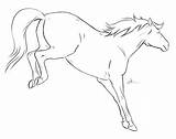 Horse Bucking Drawing Drawings Draw Line Sketch Getdrawings Choose Board January sketch template