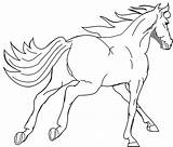 Mewarnai Kuda Belajar Poni Berkunjung Perjumpaan Baiklah Terima Sampai Berikutnya Kasih Nantikan Sini Dulu sketch template
