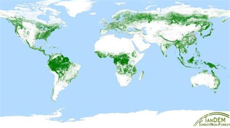 crean un mapa de los bosques de toda la tierra con una resolución de 50 metros