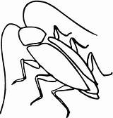 Cucaracha Contorno Categorías sketch template