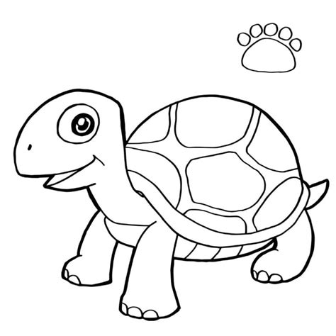 turtle coloring pages   printable  verbnow