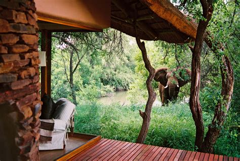 makanyane safari lodge original travel luxury lodge south africa