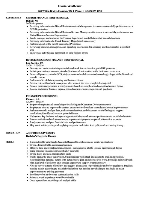 professional finance resume template director  finance resume