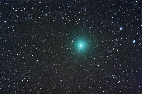 comet 8p tuttle with an asa n8 20cm f2 75 astrograph and modified canon 350d