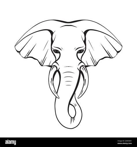 elephant face coloring page wecoloringpage  vrogueco