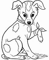 Lastimado Perrito Pintar Perro Dibujosonline Ingrahamrobotics sketch template