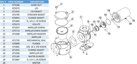 pentair pool pump parts diagram reviewmotorsco