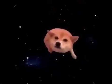 space dog youtube