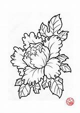 Peony Flower Drawing Tattoo Japanese Outline Peonies Drawings Lotus Sketch Line Flowers Tattoos Deviantart Getdrawings Designs Sleeve Sketches Paintingvalley Flash sketch template
