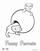Coloring Ferret Pages Sugar Glider Ferrets Alphabet Activities Printable Kids Getcolorings Sheets Colouring Getdrawings Ng sketch template