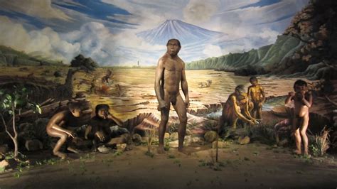 museum manusia purba sangiran jejak pra sejarah  bumi nusantara