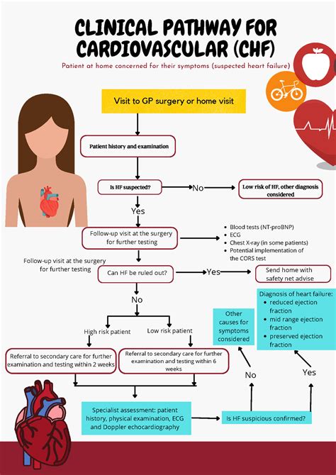 clinical pathway  cardiovascular chf  hf suspected  risk  hf  diagnosis
