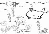 Sea Under Coloring Pages Printable Drawing Color Print Drawings Getdrawings Star Designlooter Getcolorings Kids Without Fresh sketch template