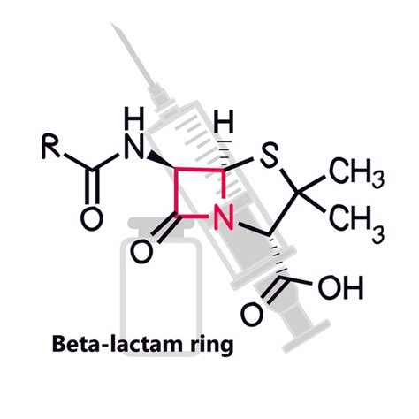 beta lactam ring images stock   objects vectors